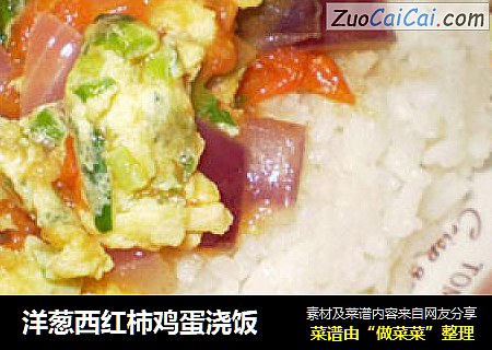 洋葱西红柿鸡蛋浇饭