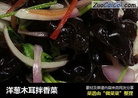 洋葱木耳拌香菜