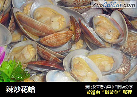 辣炒花蛤