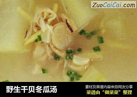 野生干贝冬瓜汤