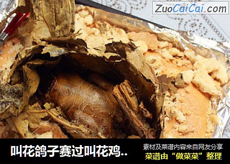 叫花鸽子赛过叫花鸡 蛋白盐壳法