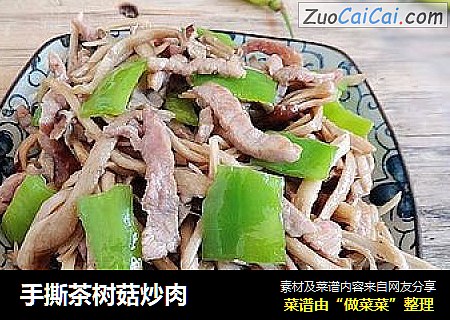 手撕茶树菇炒肉