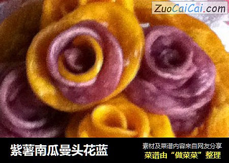 紫薯南瓜曼头花蓝