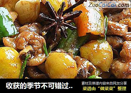 收获的季节不可错过的美味【栗子焖鸡】