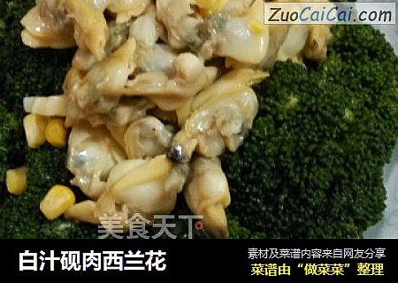 白汁砚肉西兰花
