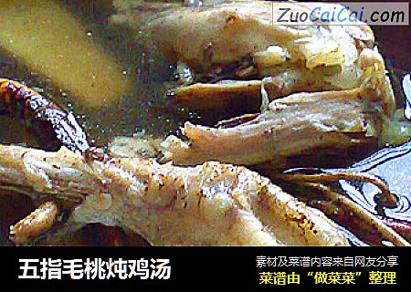 五指毛桃炖鸡汤