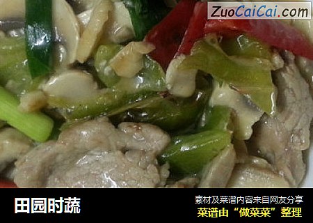 田园时蔬