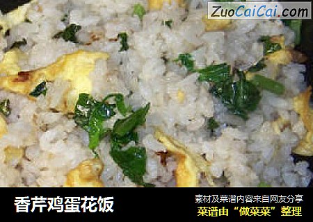 香芹鸡蛋花饭