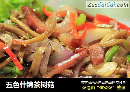 五色什锦茶树菇