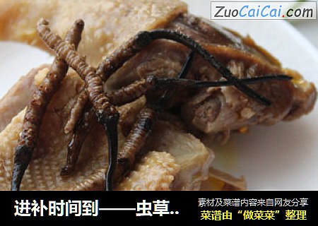 进补时间到——虫草老鸭煲