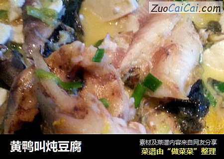 黄鸭叫炖豆腐