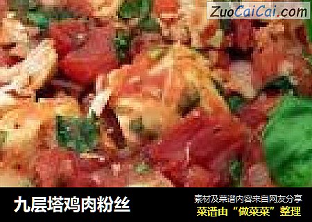 九层塔鸡肉粉丝