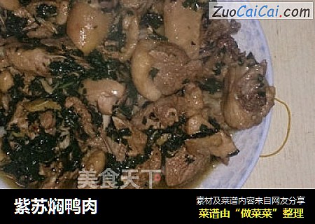 紫苏焖鸭肉