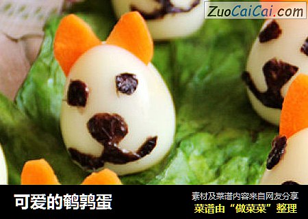 可爱的鹌鹑蛋