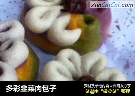 多彩韭菜肉包子