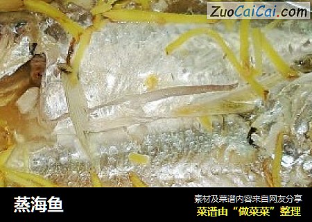 蒸海鱼