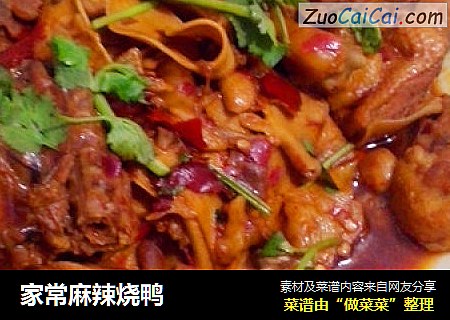 家常麻辣烧鸭