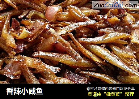 香辣小咸鱼