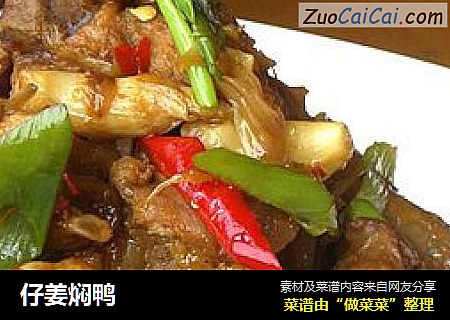 仔姜焖鸭