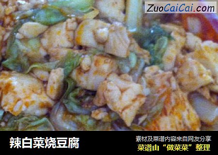 辣白菜烧豆腐
