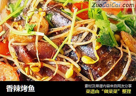 香辣烤鱼