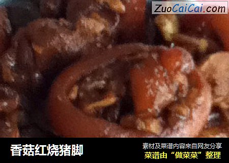 香菇红烧猪脚