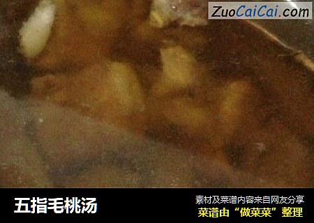 五指毛桃汤