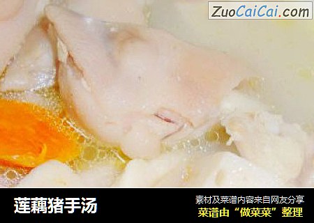莲藕猪手汤