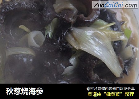 秋葱烧海参