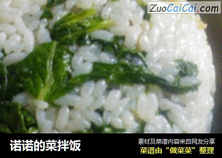 诺诺的菜拌饭