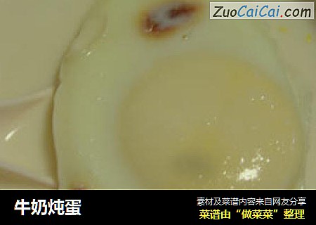 牛奶炖蛋