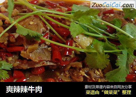 爽辣辣牛肉