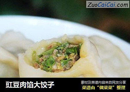 豇豆肉馅大饺子