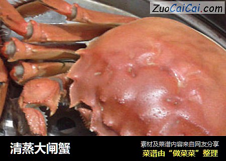 清蒸大闸蟹