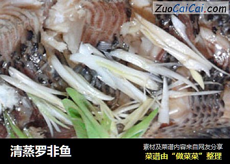清蒸罗非鱼