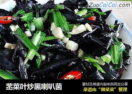 苤菜叶炒黑喇叭菌