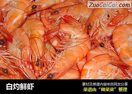 白灼鲜虾