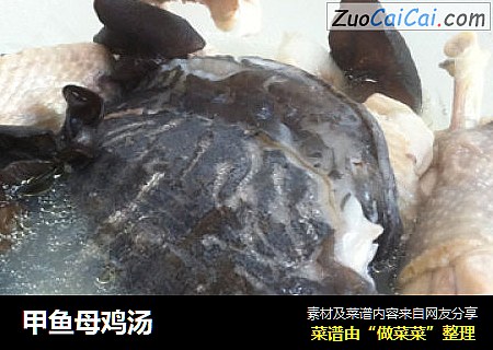 甲鱼母鸡汤