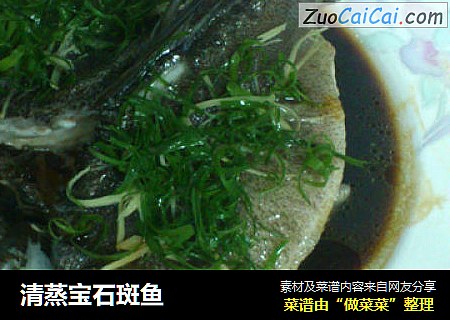 清蒸宝石斑鱼