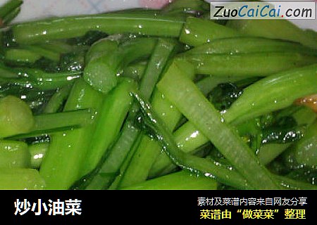 炒小油菜