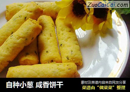 自种小葱 咸香饼干
