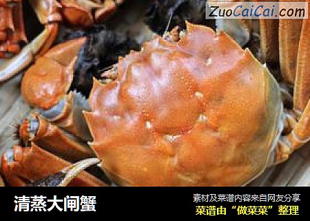 清蒸大闸蟹