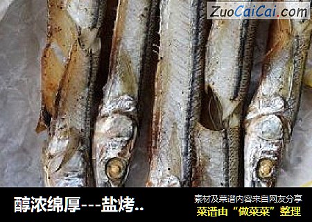 醇浓绵厚---盐烤针鱼