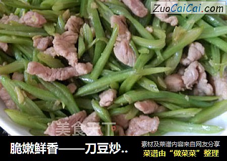 脆嫩鲜香——刀豆炒肉丝