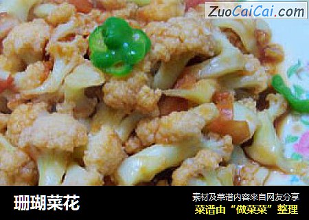 珊瑚菜花