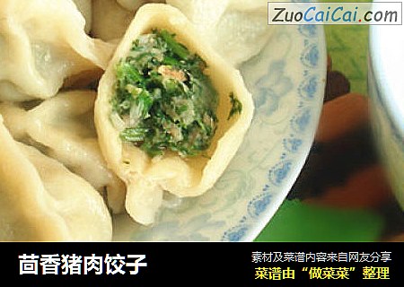 茴香猪肉饺子