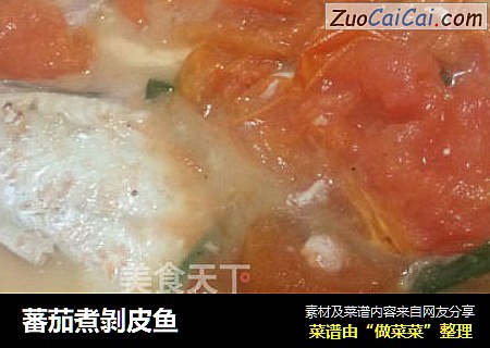 蕃茄煮剝皮鱼
