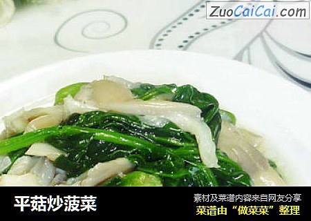 平菇炒菠菜