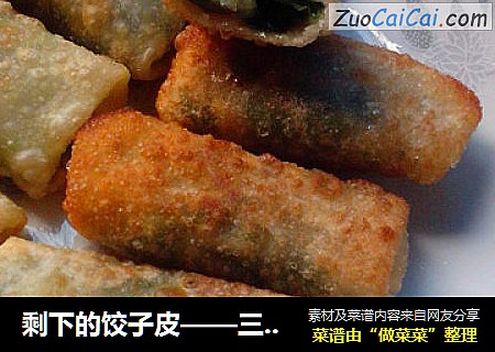剩下的饺子皮——三丝春卷