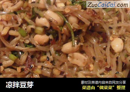 凉拌豆芽